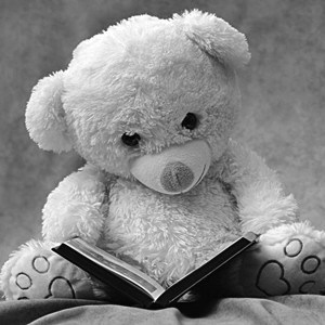 Bear Reading a Marketing Book